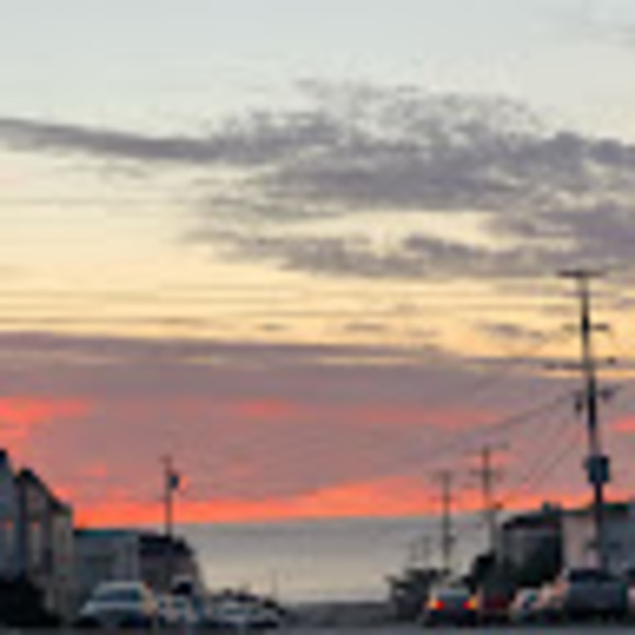 Meet your Posher, Sofia - Picture 1 of 1